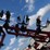 case-ih-5300-image-63