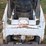 bobcat-443-image-22