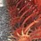 yetter-3530-image-6