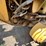 caterpillar-140g-image-20
