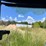 new-holland-tl100a-image-33