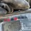 mitsubishi-fgc20n-image-24