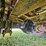 2000-freightliner-fl60-image-83