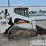 2009-bobcat-t300-image-6