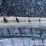 unused-2025-14’-bi-parting-iron-gate-c/w-deer-artwork-image-5