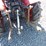 yanmar-155d-image-11
