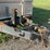 #2202-•-2015-g-s-specialty-dump-trailer*-image-38