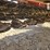 2008-case-ih-dcx131-image-17