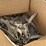 john-deere-1770-image-5