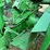 1950-john-deere-mt-image-32