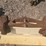 #142-•-hoist-beam-and-track-image-20