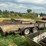 #253-•-big-tex-60ch-trailer*-image-7