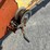 westfield-10x61-image-7