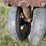 1931-john-deere-gp-image-36