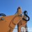 2016-case-580sn-image-19