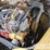 2012-caterpillar-908h-image-21