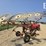 pull-type-10-wheel-v-rake-3761-image-6