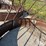 bale-feeder-image-10