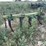 john-deere-6-image-3