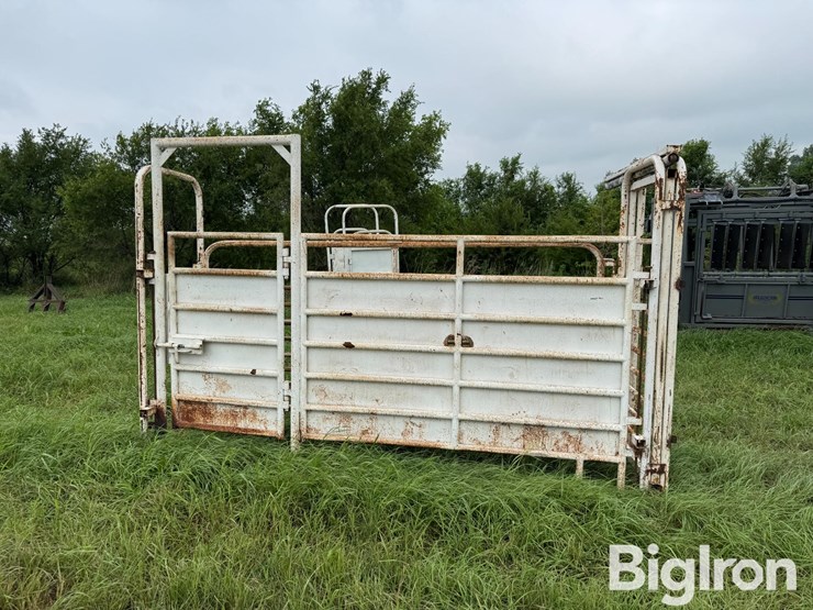 cattle-alleyway-image-2