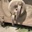 bush-hog-2615-image-16