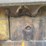 minneapolis-moline-g1355-image-25
