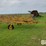 2000-vermeer-wrv10-image-4