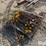 electric-fence-posts-image-2
