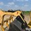 deere-544e-image-11