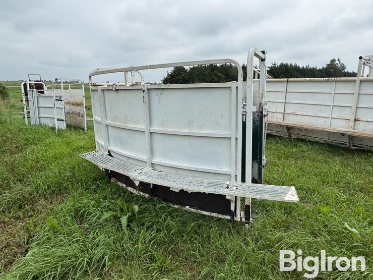 cattle-alleyway-turn-image-5