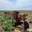 white-plow-image-7