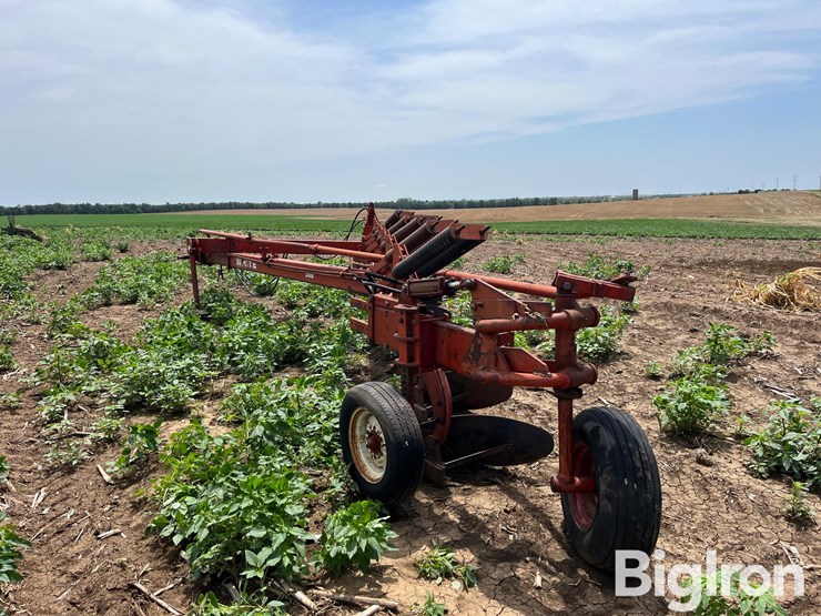 white-plow-image-7