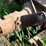 john-deere-h-image-38