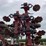 salford-570-image-18