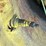 john-deere-br-image-32