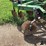 john-deere-2700-image-19