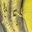 john-deere-h-image-43
