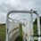 cattle-alleyway-turn-image-11