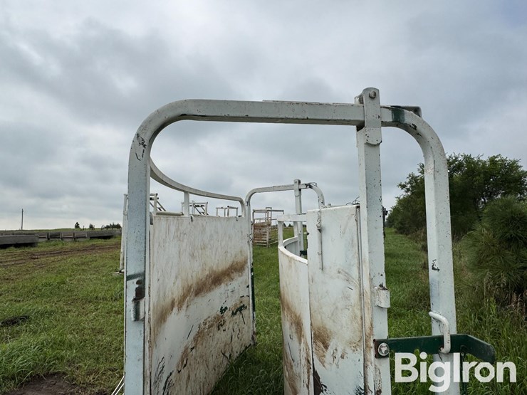 cattle-alleyway-turn-image-11