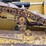 2019-caterpillar-d6n-lgp-image-17
