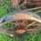 allis-chalmers-20-35-image-15