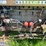 massey-ferguson-97-image-77