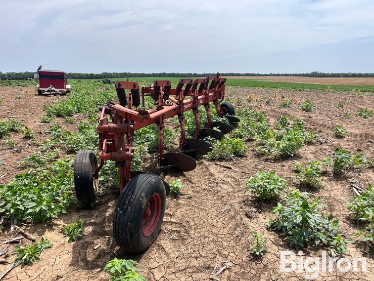white-plow-image-6