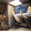 hutchinson-10x2-3756-image-4