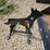 new-3/8-ar500-coyote-shooting-target-image-2