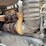1995-ford-l9000-image-75