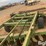 john-deere-offset-disk-w/roller-packer-image-13