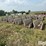 concrete-feed-bunks-image-8