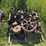 john-deere-gpwt-image-45