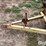 schuler-5x10-feed-wagon-image-9